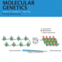 Increased genome instability in human DNA segments with self-chains: homology-induced structural variations via replicative mechanisms